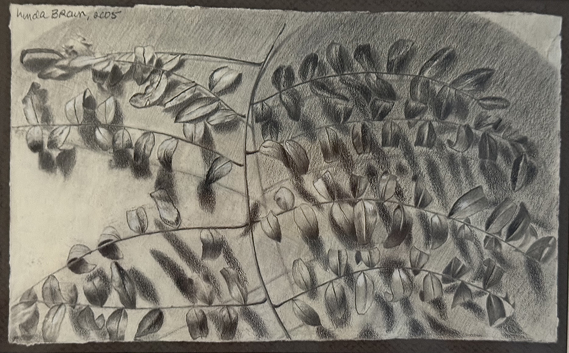 Branch with Leaves, graphite, 9” x 5 ½”